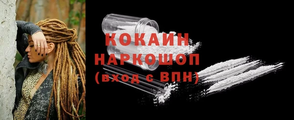 гидра Абаза