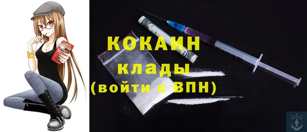 гидра Абаза