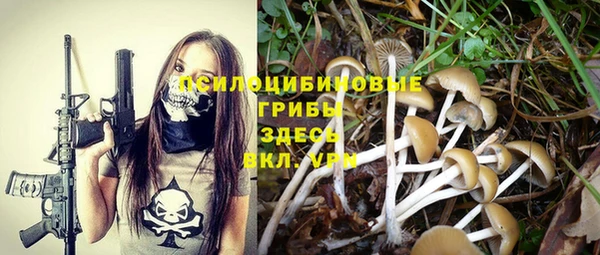 прущая мука Абинск