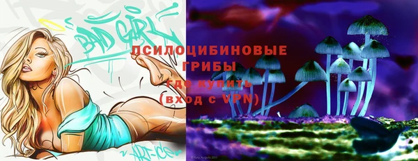 гидра Абаза
