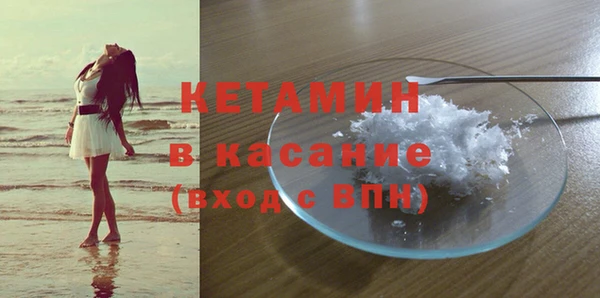 гидра Абаза