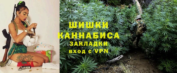 метадон Пестово