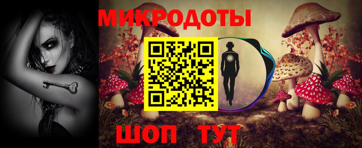 Грозный  Псилоцибиновые грибы Cubensis  Вход с VPN  Псилоцибиновые грибы GOLDEN TEACHER 