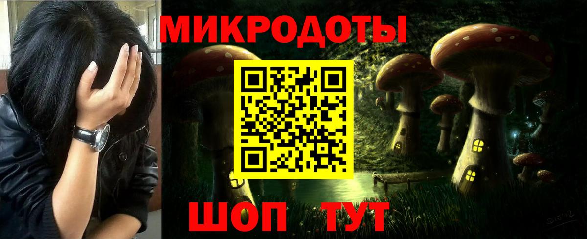 Псилоцибиновые грибы Psilocybe Грозный